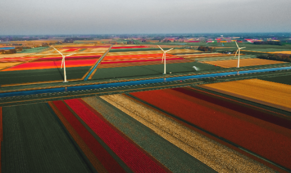 Autovakantie Nederland